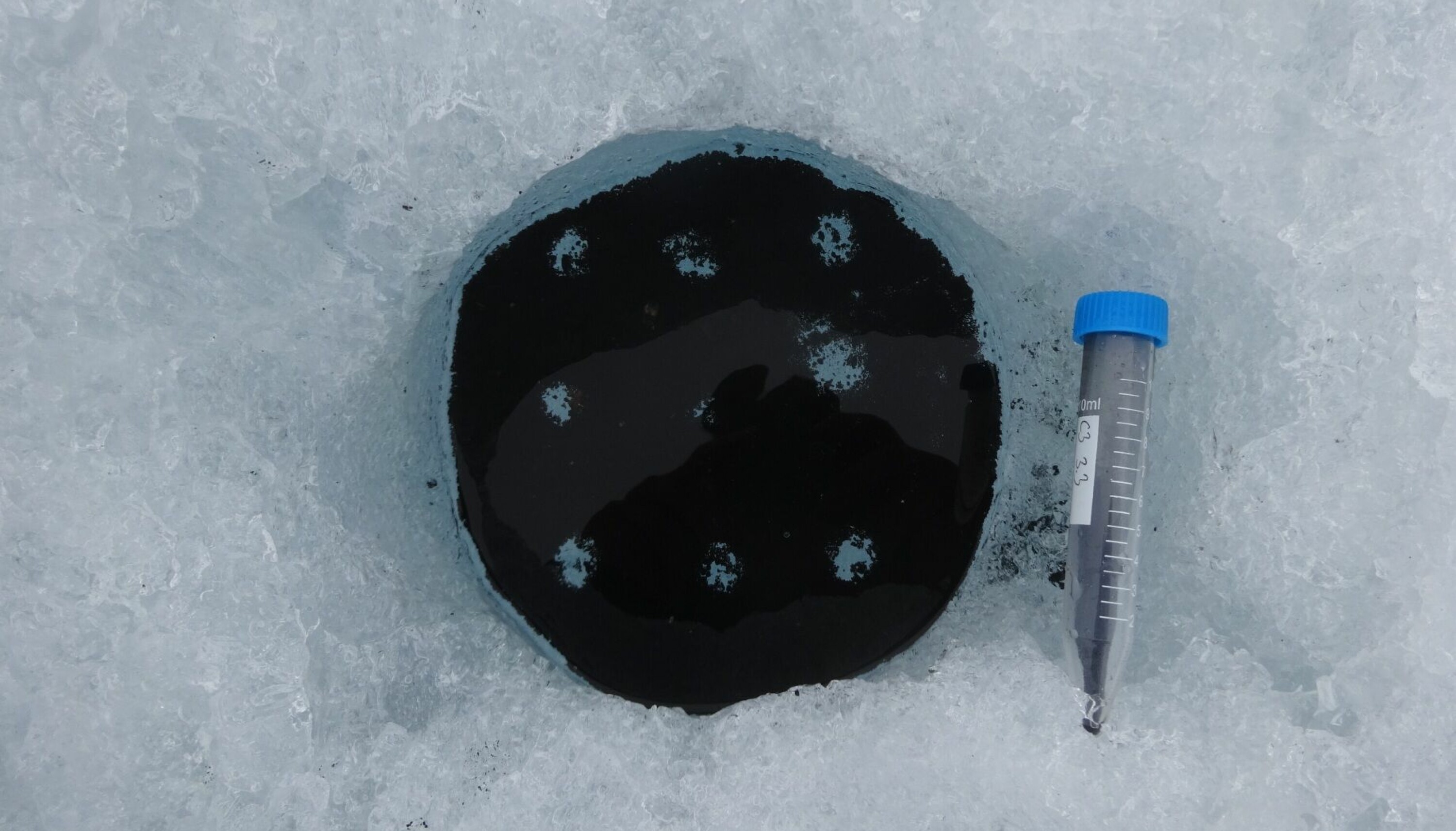 Forskerne tok prøver av tolv forskjellige groper med krykonitt på Blåisen.