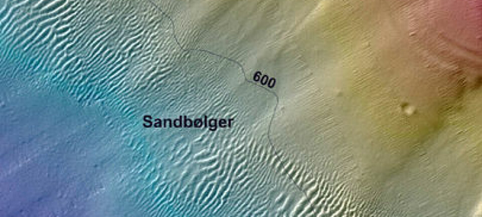 Ett av flere sandbølgefelt på kontinetalskråninga på Eggakanten. Sandbølgene beveger seg med havstrømmene mot nordvest. (Opp mot venstre hjørne) Sandbølgene opptrer på 550 - 650 m dyp noe som indikerer at strømmene er spesielt sterke her. (Foto: MAREANO)