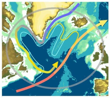 Den subpolare gyre er en havstrøm som i realiteten er satt sammen av fire andre havstrømmer: Øst-Grønland-strømmen (sørgående og kald), Vest-Grønland-strømmen, Labrador-strømmen og Den nordatlantiske strøm (en nordgående gren av Golfstrømmen). (Illustrasjon: National Oceanography Centre) Den subpolare gyre er en havstrøm som i realiteten er satt sammen av fire andre havstrømmer: Øst-Grønland-strømmen (sørgående og kald), Vest-Grønland-strømmen, Labrador-strømmen og Den nordatlantiske strøm (en nordgående gren av Golfstrømmen). (Illustrasjon: National Oceanography Centre)