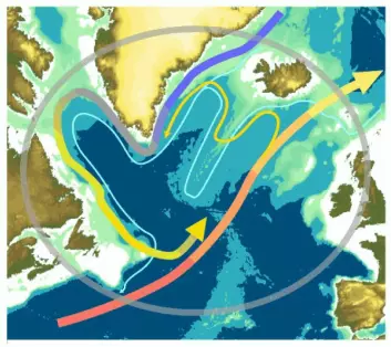 Den subpolare gyre er en havstrøm som i realiteten er satt sammen av fire andre havstrømmer: Øst-Grønland-strømmen (sørgående og kald), Vest-Grønland-strømmen, Labrador-strømmen og Den nordatlantiske strøm (en nordgående gren av Golfstrømmen). (Illustrasjon: National Oceanography Centre)