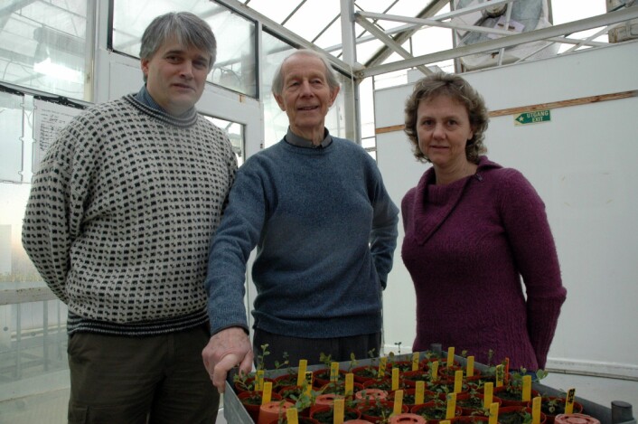 Arne Stensvand, Ola Heide og Anita Sønsteby. Arne Stensvand, Ola Heide og Anita Sønsteby.