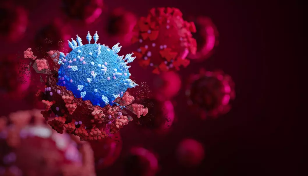 Omikron-varianten av koronaviruset ble først oppdaget i Gauteng-provinsen i Sør-Afrika i begynnelsen av november 2021. Bare tre uker senere hadde omikron spredd seg til 87 land.