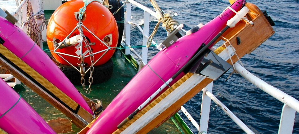 Ved hjelp av disse havgående robotene – såkalte Seagliders, utviklet ved University of Washington – har forskerne hentet inn en rekke måledata. (Foto: Privat)
