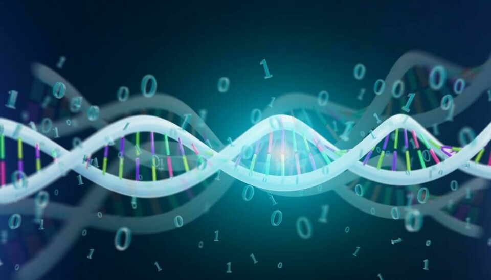 Researchers have trained machine learning models to look for DNA sequences of immune receptors.