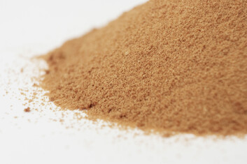 Bakteriemel er en type encelleprotein som viser seg å ha gunstig effekt på tarmhelse hos laks. (Foto: Håkon Sparre, UMB) Bakteriemel er en type encelleprotein som viser seg å ha gunstig effekt på tarmhelse hos laks. (Foto: Håkon Sparre, UMB)