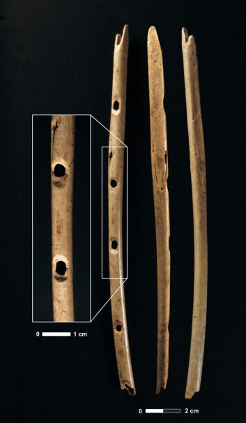 "Femhulls beinfløyte, på over 35 000 år. (Foto: H.Jensen; Copyright: University of Tubingen)" "Femhulls beinfløyte, på over 35 000 år. (Foto: H.Jensen; Copyright: University of Tubingen)"
