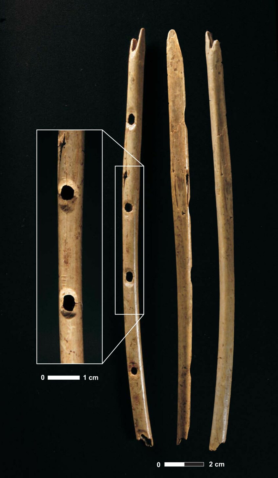 'Femhulls beinfløyte, på over 35 000 år. (Foto: H.Jensen; Copyright: University of Tubingen)'