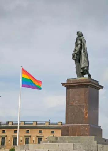 "Skillet mellom homoforskere og aktivister er ikke alltid så tydelig. Bildet er fra en homoparade i Stockholm. (Foto: iStockphoto)"