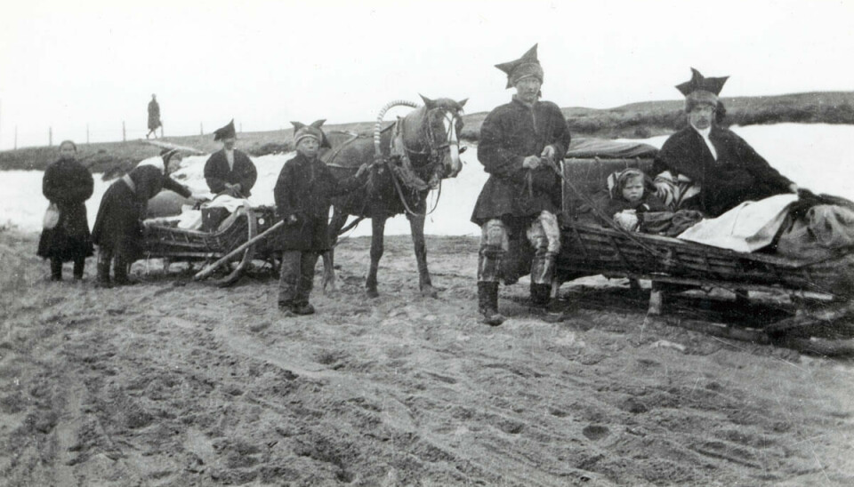 Familien Wiig følger den samiske forflytninga mot kysten, april 1928.