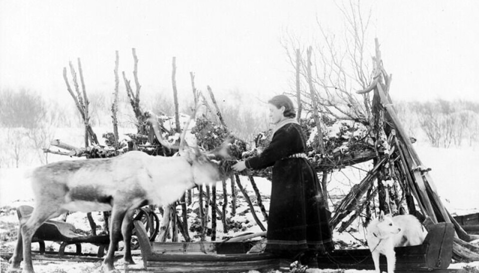 Ellisif Wessel og Margarethe Wiig dokumenterte det samiske folket gjennom fotografering. I mange av fotografia er dei iført samiske klede. Her poserer Ellisif Wessel med reinsdyr og slede.