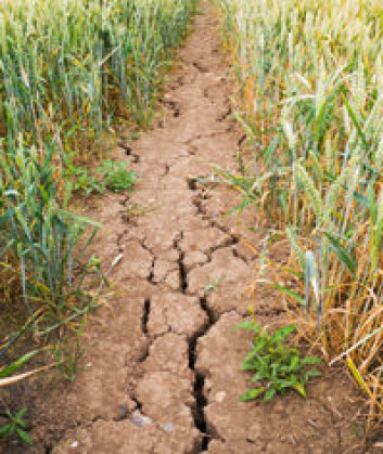 (Illustrasjonsfoto: iStockphoto) (Illustrasjonsfoto: iStockphoto)
