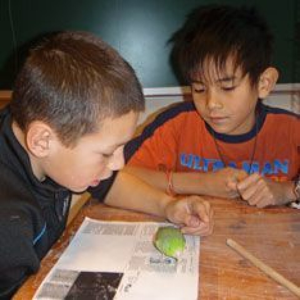 Når undulaten Påsan blir lest for, legger han seg på skulderen til eieren sin og lager koselyd. (Foto: Storevarden skole)