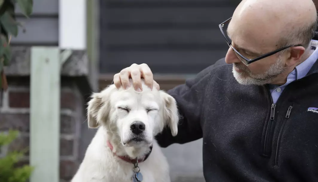 – Dette er en ypperlig mulighet for å finne faktorene innenfor genetikk, miljø og livsstil som er forbundet med et sunt liv, forteller Dr. David Promislow, som jobber med The Dog Aging Project. Her er han avbildet med sin hund Frisbee.