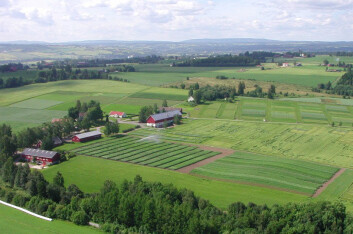 "Det var økologisk drift med bruk av grønngjødsel som kom så dårlig ut i Bioforsks studie, men dette er ikke en vanlig praksis i økologisk landbruk. (Foto: Bioforsk Øst)" (Foto: Colourbox) "Det var økologisk drift med bruk av grønngjødsel som kom så dårlig ut i Bioforsks studie, men dette er ikke en vanlig praksis i økologisk landbruk. (Foto: Bioforsk Øst)" (Foto: Colourbox)