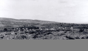 "Golsfjellet 1928. Vidt utsyn på grunn av beiting." "Golsfjellet 1928. Vidt utsyn på grunn av beiting."
