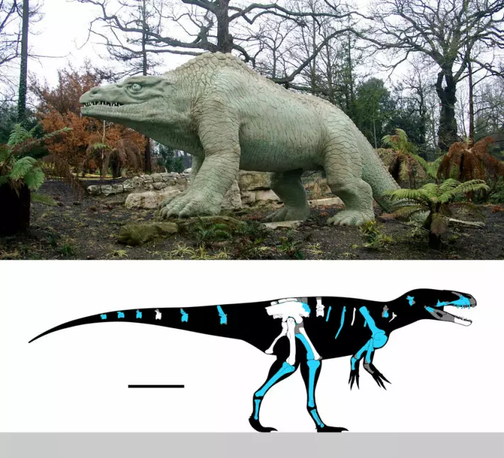 Modellen av megalosaurus er lagd rundt 1850. Den ligner ikke så mye på tegningen under, som viser hvordan dagens forskere tror dyret kan ha sett ut.