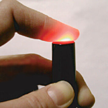 (Foto: Michael Morris, University of Michigan) (Foto: Michael Morris, University of Michigan)