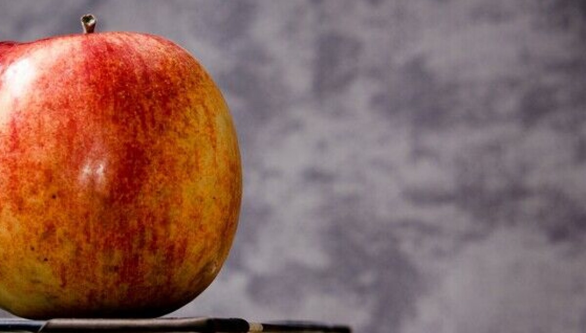 School fruit program had no effect on pupils' weight