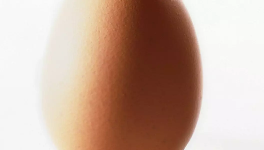 Slankere med egg