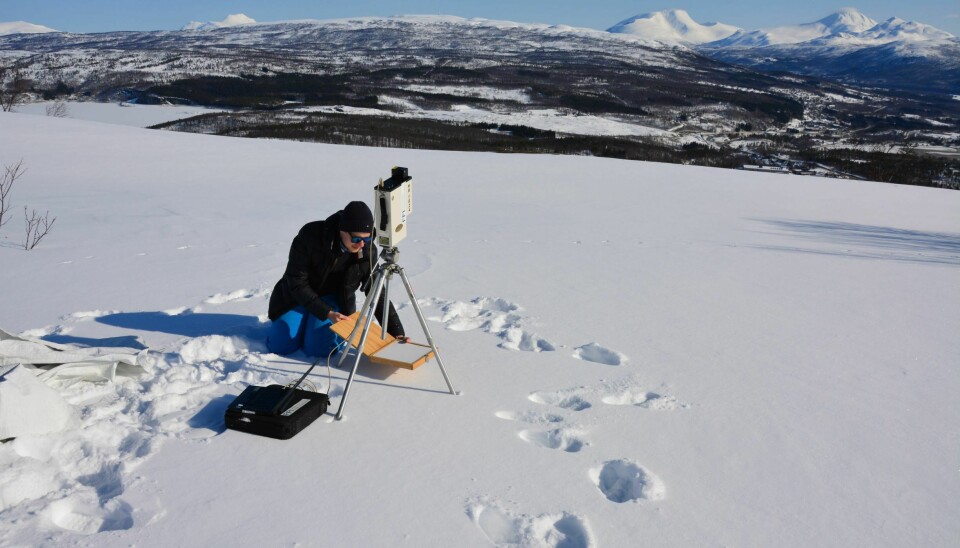Snøflater reflekterer mye lys, men de spektrale egenskapene bestemmes også av typen snø. I Bardufoss målte forskerne på tørr, finkornet, grovkornet og fuktig snø.