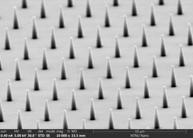 Researchers created substrates with nano-sized pillars in various arrangements.