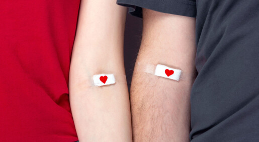 Hva er egentlig forskjellen på ulike blodtyper?