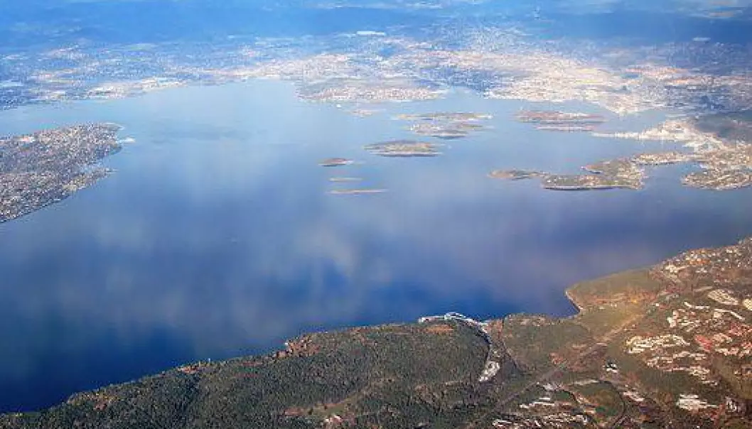 Mindre miljøgifter i sjødyra i Oslo havn