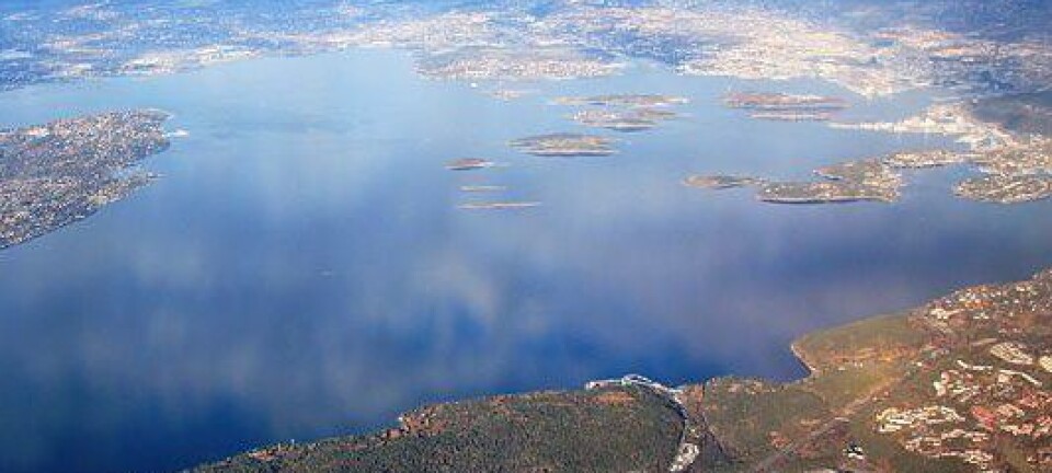 Flyfoto av indre Oslofjord. (Foto: Wikimedia Commons)