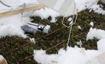 Varmelamper har smeltet bort snøen, og vegetasjonen titter fram. Del av varmelampe vises øverst i bildet. Ulike måleinstrumenter vises også. (Foto: Jarle W. Bjerke) Varmelamper har smeltet bort snøen, og vegetasjonen titter fram. Del av varmelampe vises øverst i bildet. Ulike måleinstrumenter vises også. (Foto: Jarle W. Bjerke)