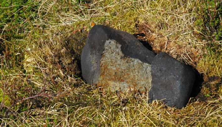 Valle-meteoritten ble funnet i Setesdalsheiene av Terje Fjeldheim i 2013.
