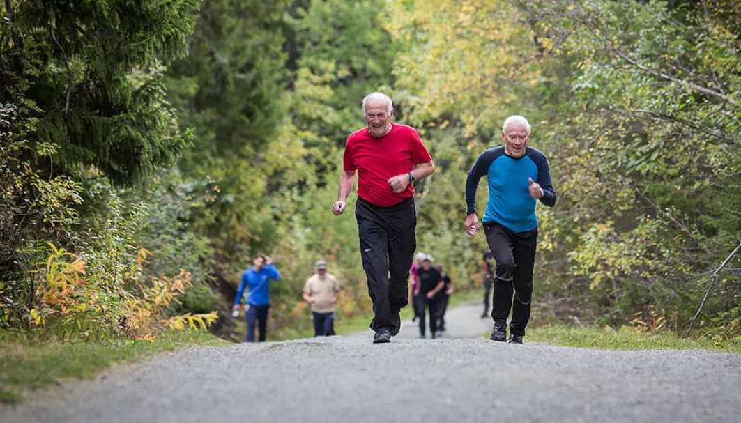 How should older people train to get in better shape? What’s most important, according to the researchers, is that you find an activity that you enjoy and can continue doing over time.