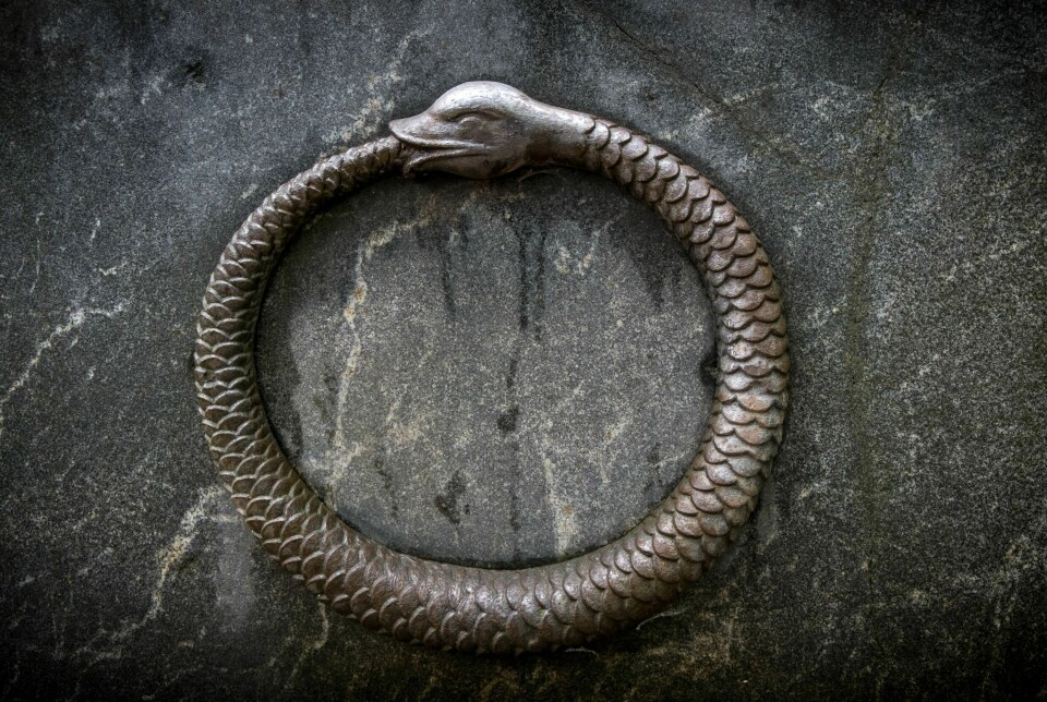 Slangen er et symbol på evighet.