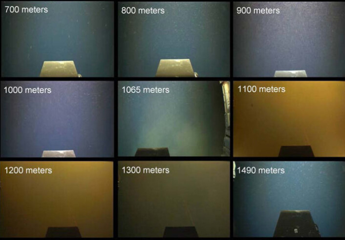Bilder tatt på veien nedover i vannmassene, mindre enn 500 meter sørvest for brønnen, 1. juni 2010. det er et tydelig grumsete belte mellom 1065 og 1300 meters dyp, hvor oljedråper midlertidig samler seg på kameralinsen. (Foto: R. Camilli, Woods Hole Oceanographic Institution) Bilder tatt på veien nedover i vannmassene, mindre enn 500 meter sørvest for brønnen, 1. juni 2010. det er et tydelig grumsete belte mellom 1065 og 1300 meters dyp, hvor oljedråper midlertidig samler seg på kameralinsen. (Foto: R. Camilli, Woods Hole Oceanographic Institution)