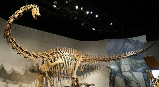 Dinosauren Dolly kan ha dødd mens den hostet, nøs og hadde feber