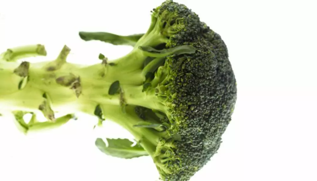 Brokkoli viser sin sunne side