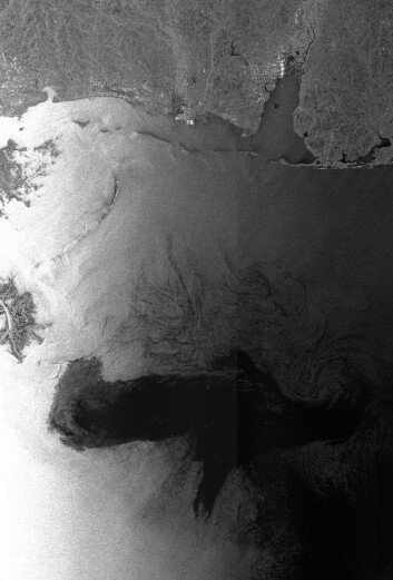 Envisats radarbilde av oljekatastrofen. 28 April 2010, kl 03:45 UTC (Foto:ESA) Envisats radarbilde av oljekatastrofen. 28 April 2010, kl 03:45 UTC (Foto:ESA)