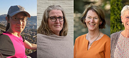 Fire forskere om kvinner i forskning
