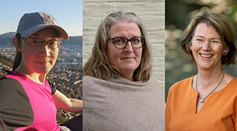 Fire forskere om kvinner i forskning