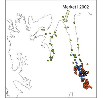 Kartet viser posisjoner hvor binna N23689 har vært fra mai til desember 2008. Blå sirkler er fra mai til juni, grønne sirkler fra juli og august og røde sirkler september til desember. En svart stjerne viser posisjonen hun hadde 25. september, dagen da reinsdyret ble tatt i samme området. (Norsk Polarinstitutt) Kartet viser posisjoner hvor binna N23689 har vært fra mai til desember 2008. Blå sirkler er fra mai til juni, grønne sirkler fra juli og august og røde sirkler september til desember. En svart stjerne viser posisjonen hun hadde 25. september, dagen da reinsdyret ble tatt i samme området. (Norsk Polarinstitutt)
