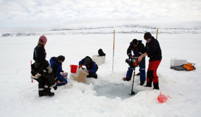 Forskerne på feltarbeid i Rijpfjorden på Nordaustlandet (Svalbard). (Foto: Jørgen Berge/UNIS) Forskerne på feltarbeid i Rijpfjorden på Nordaustlandet (Svalbard). (Foto: Jørgen Berge/UNIS)