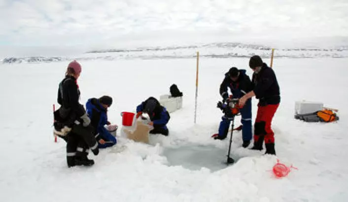 Forskerne på feltarbeid i Rijpfjorden på Nordaustlandet (Svalbard). (Foto: Jørgen Berge/UNIS)