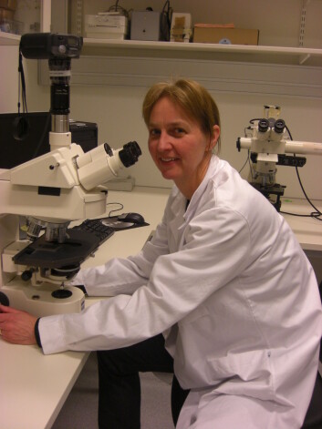 Gunhild Mari Mælandsmo på Institutt for Kreftforskning på Radiumhospitalet. Gunhild Mari Mælandsmo på Institutt for Kreftforskning på Radiumhospitalet.