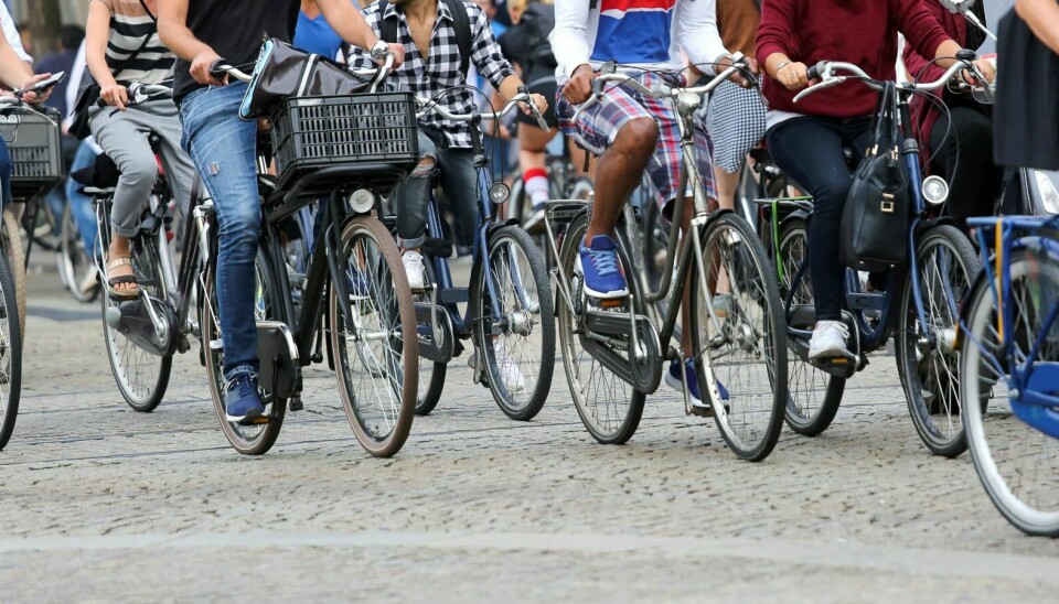I Danmark har den massive utbyggingen av sykkelveinettet, som her i København, slått svært positivt ut på folkehelsen.