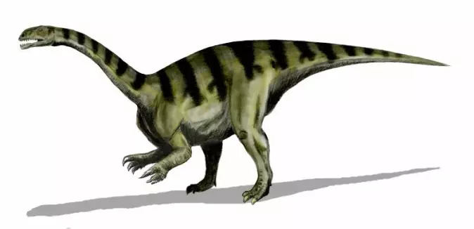 Plateosaurusene var en planteetere og kunne bli opptil ni meter lang og veie fire tonn. Denne arten av dinosauruser levde i Europa og på Grønland for 210-195 millioner år siden, mot slutten av triasperioden. Dette var den første av de store planteeterne blant dinosaurene og også den første som spesialiserte seg på å spise høyt på plantene. Den hadde et lite hode på enden av en ganske lang hals. Plateosaurus kunne antagelig reise seg opp på to, men gikk mest på fire bein. Plateosaurus er en forløper for de store sauropodene.