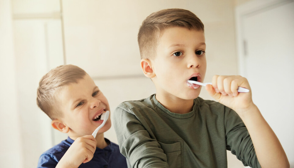 De fleste pusser tennene et par ganger daglig. Men det er smartest å gjøre det rett etter at du har stått opp.