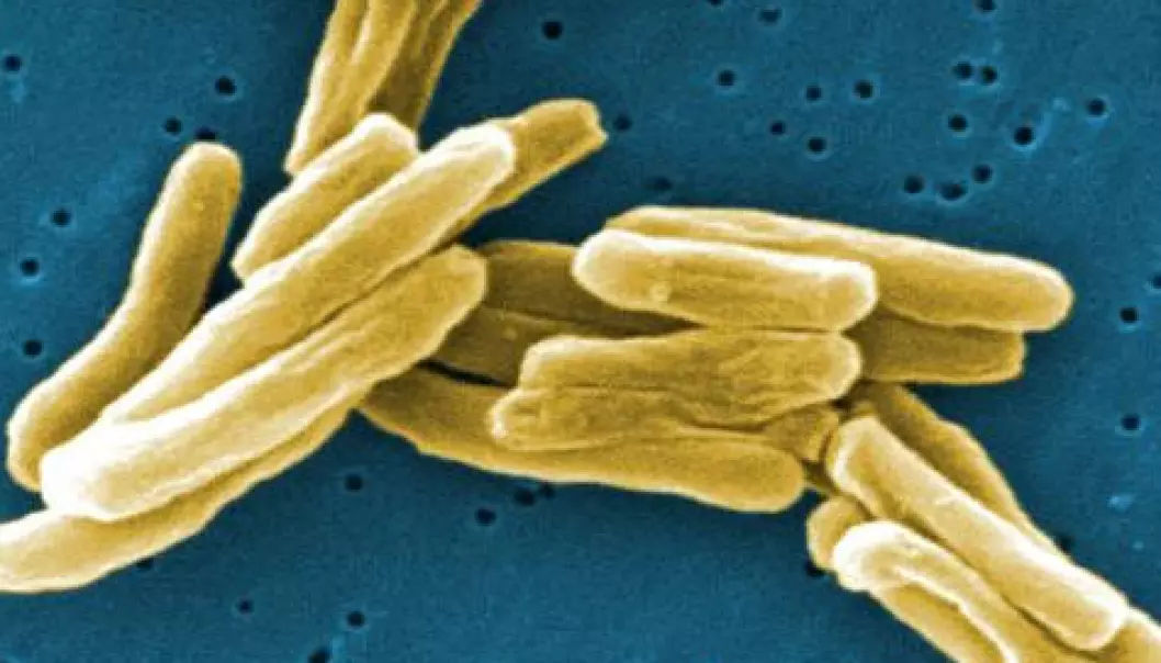 Fortsatt dør 1,8 millioner av tuberkulose