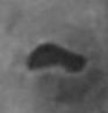 "Er dette en sjø? Bildet er et unsnitt av fotografiet over. (Foto: NASA/JPL/Space Science Institute)" "Er dette en sjø? Bildet er et unsnitt av fotografiet over. (Foto: NASA/JPL/Space Science Institute)"