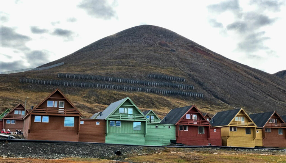 Redselen er at parasitten skal spre seg til tettsteder som Longyearbyen eller Barentsburg.