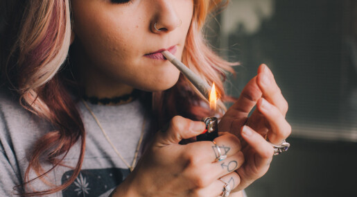 Unge flest støtter ikke avkriminalisering av cannabis Unge flest støtter ikke avkriminalisering av cannabis