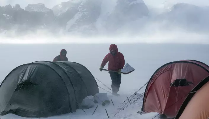 Geologer på feltarbeid i Dronning Maud Land sikrer teltene under stiv kuling. Ved vindstyrke på 15-20 m/s virvles snøen høyt opp og gir sterkt redusert sikt.